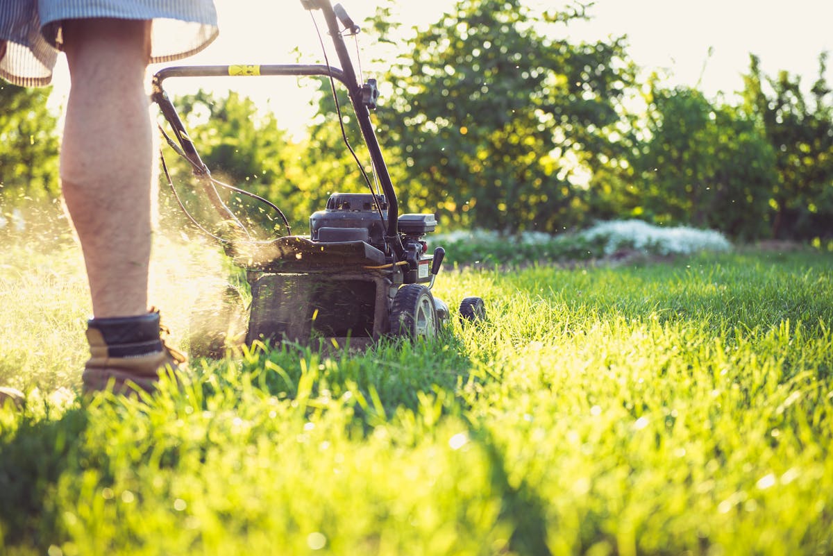 Landscaping contractor working on a property